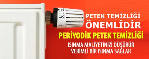 İzmir Petek Temizleme